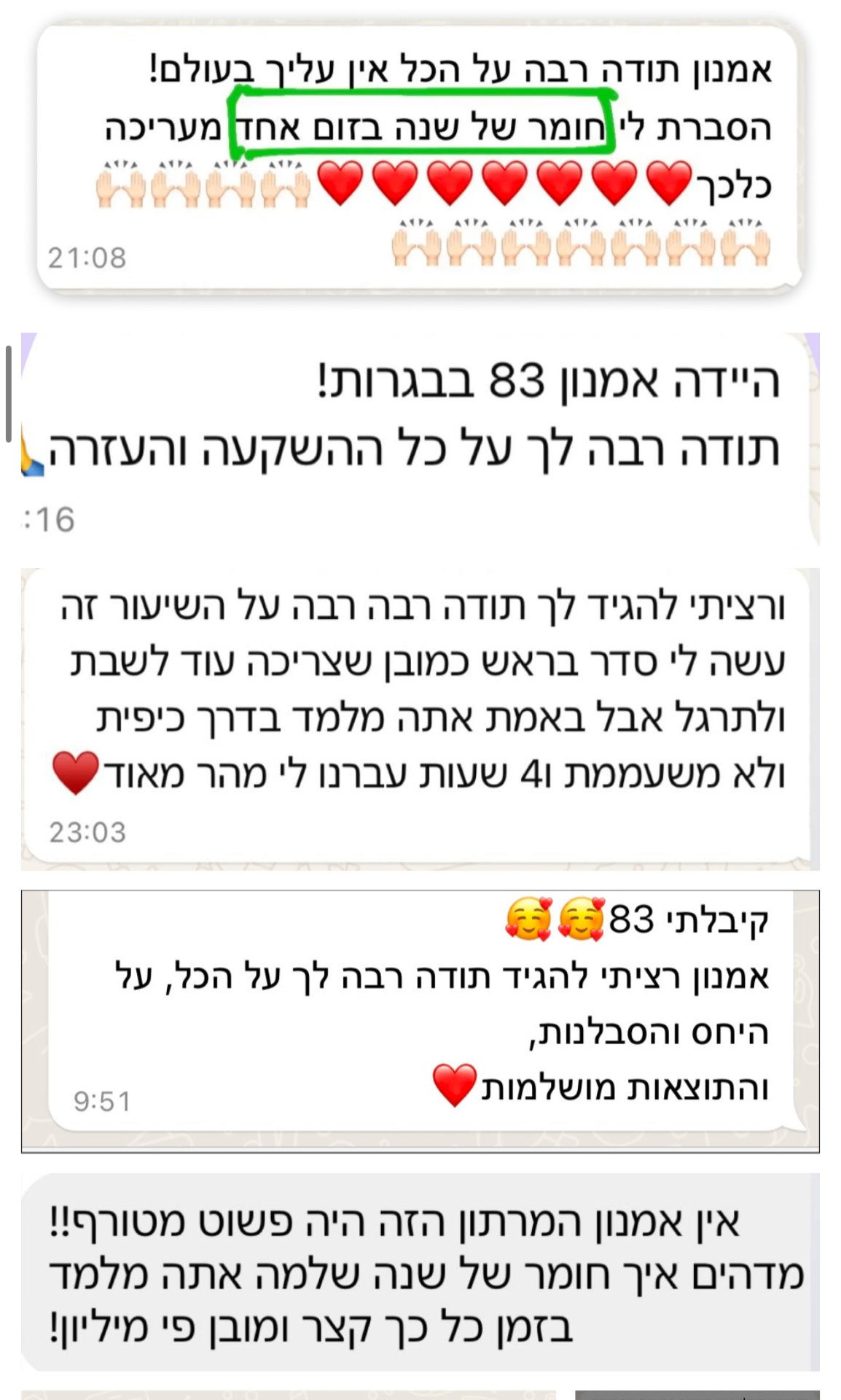 המלצה 14