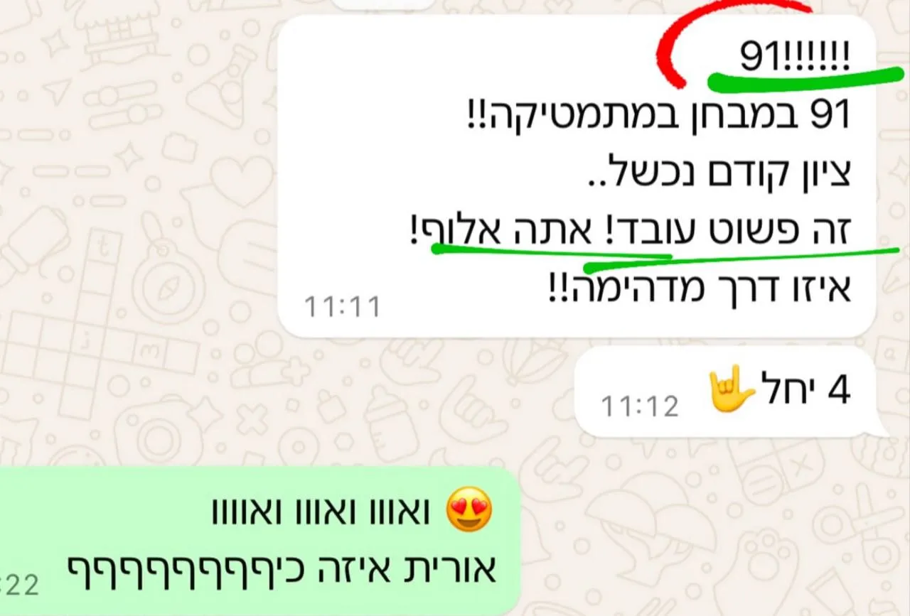 המלצה 12